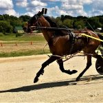 3YOs grind to the finish before Iowa Finals