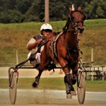 Ricky Be Sharp, Bankn-On-Emily top 2YO Iowa trotters