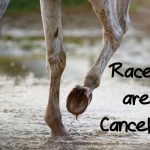 The races at Oskaloosa have been cancelled for this weekend due to weather.
