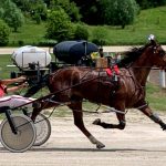 Oh Toodles and DP Rocket bring on the heat at Humboldt