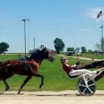 D P Rocket, Ricky Be Sharp top 3YO Trot Finals