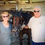 Shipley Stable fillies lead Iowa trotters