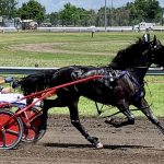 Itsonlymoneyhoney, Lucky Playmate upset in 3YO Iowa Trots