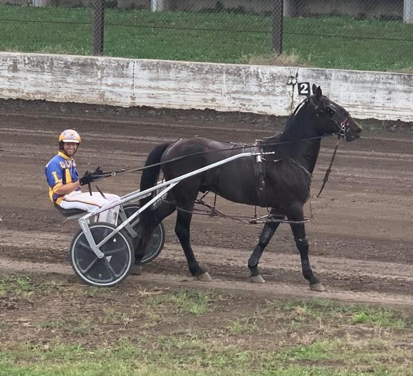 Larson enters triple digits at Eldon Iowa Harness Horseman's Association