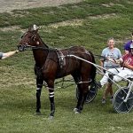 Fenshuiprosperity Named 2023 Iowa Horse of the Year