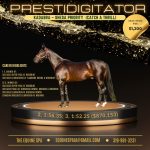 Five new stallion additions to the lineup on www.standingstallions.com!