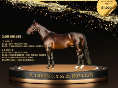 Five new stallion additions to the lineup on www.standingstallions.com!