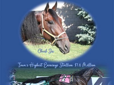 Equine Spa, LLC, has announced that Check Six p,1:48.1 will stand in Iowa for the 2024 Season