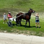 Duane Roland grabs five wins in Iowa Sired Series Duane Roland grabs five wins in Iowa Sired Series